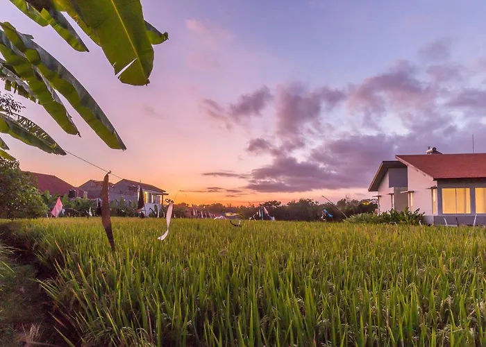 Charming Ricefield View 3 Bedrooms Villa